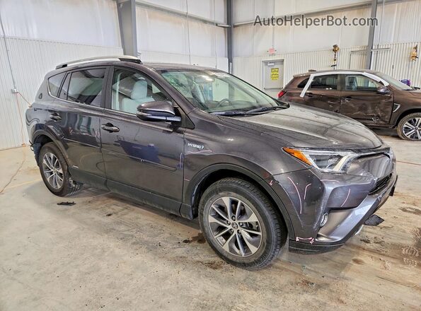 JTMRJREV8GD001641 2016 TOYOTA RAV4 Gray Przód prawy