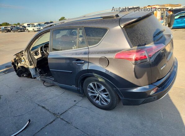 JTMRJREV9GD015189 2016 TOYOTA RAV4 Gray Հետևի ձախ