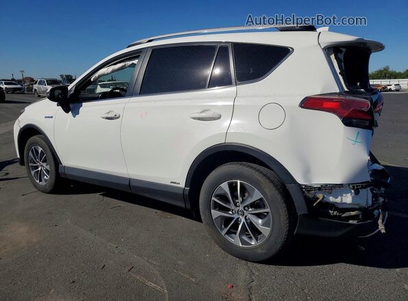 JTMRJREV9GD044191 2016 TOYOTA RAV4 White Задня ліва чверть