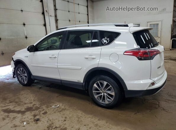 JTMRJREV9GD058768 2016 TOYOTA RAV4 Белый Задняя левая четверть