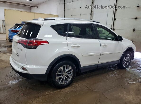 JTMRJREV9GD058768 2016 TOYOTA RAV4 Белый Задняя правая четверть