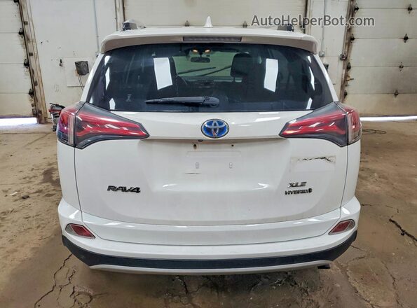 JTMRJREV9GD058768 2016 TOYOTA RAV4 Белый Вид сзади