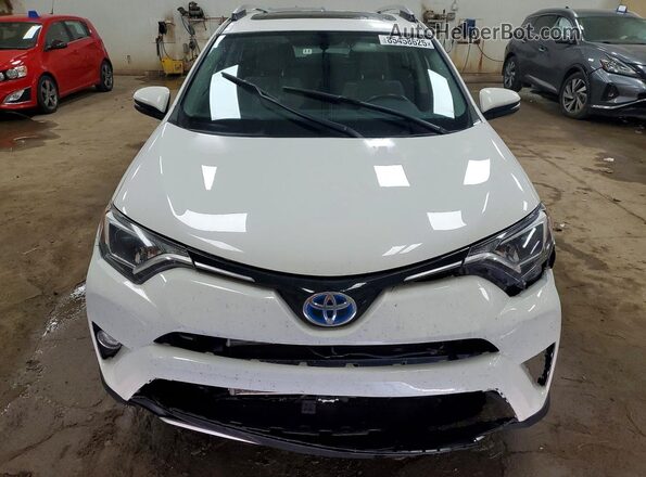 JTMRJREV9GD058768 2016 TOYOTA RAV4 Белый Вид спереди