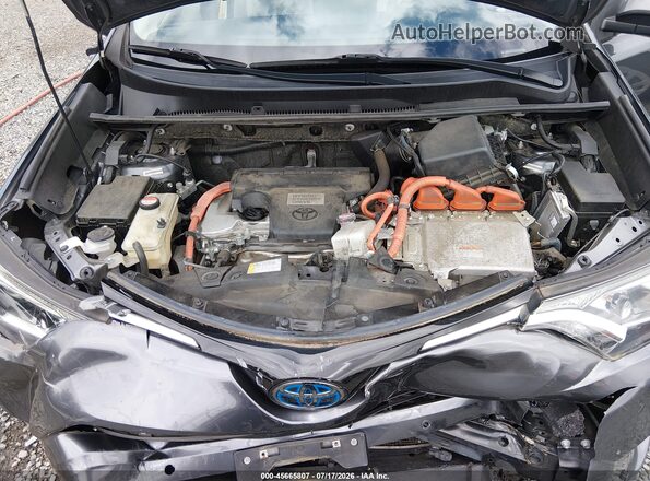 JTMRJREVXGD033717 2016 TOYOTA RAV4 HYBRID Серый Вид сзади