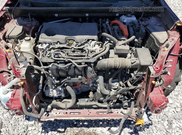 JTMRWRFV1MD132891 2021 TOYOTA RAV4 Burgundy უკანა სალონის ხედი