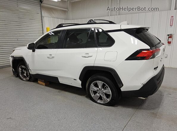 JTMRWRFV1SD356109 2025 TOYOTA RAV4 White 