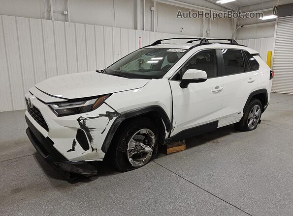JTMRWRFV1SD356109 2025 TOYOTA RAV4 White 