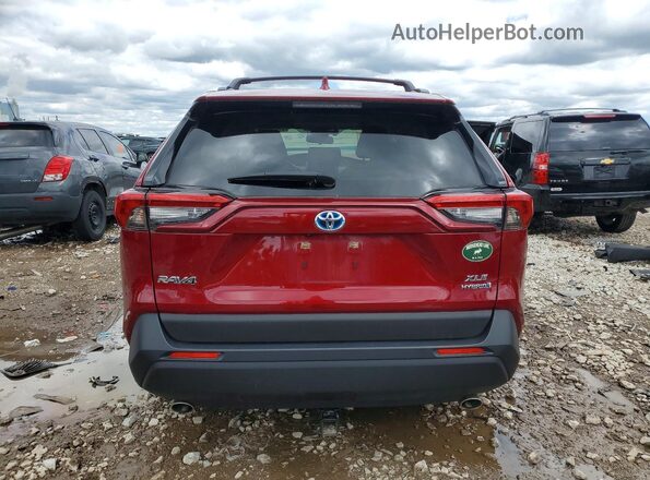 JTMRWRFV2PD172773 2023 TOYOTA RAV4 Red Вид ззаду
