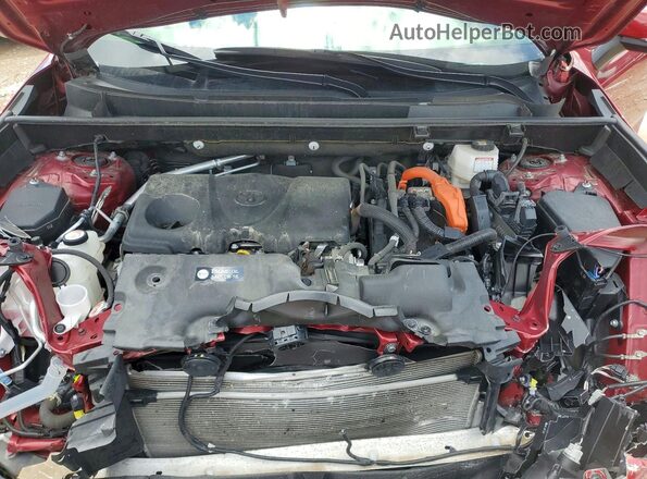 JTMRWRFV2PD172773 2023 TOYOTA RAV4 Red Вид задньої частини салону