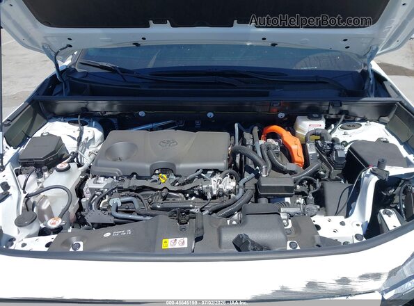 JTMRWRFV3SD333026 2025 TOYOTA RAV4 HYBRID White Вид ззаду