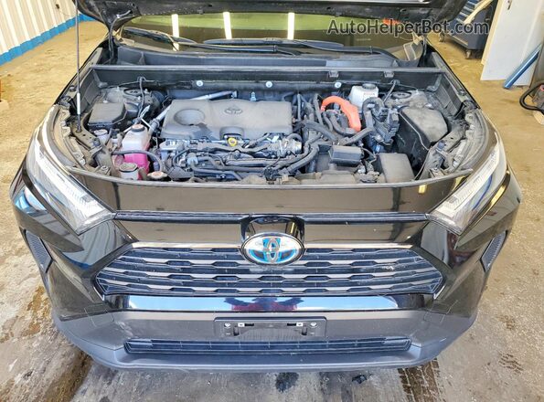 JTMRWRFV4PD196606 2023 TOYOTA RAV4 Черный Вид задней части салона