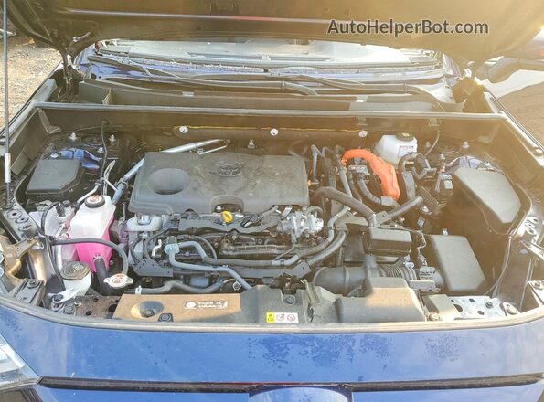 JTMRWRFV4SD277372 2025 TOYOTA RAV4 Blue Widok wnętrza z tyłu