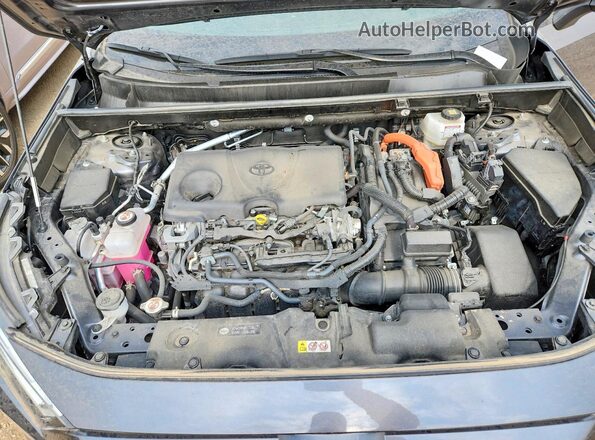 JTMRWRFV7PD207825 2023 TOYOTA RAV4 Серый Вид задней части салона