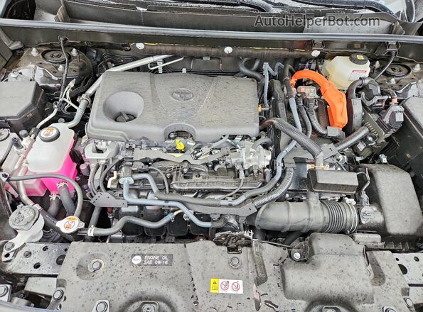 JTMRWRFV9SJ068940 2025 TOYOTA RAV4 Black Вид задньої частини салону