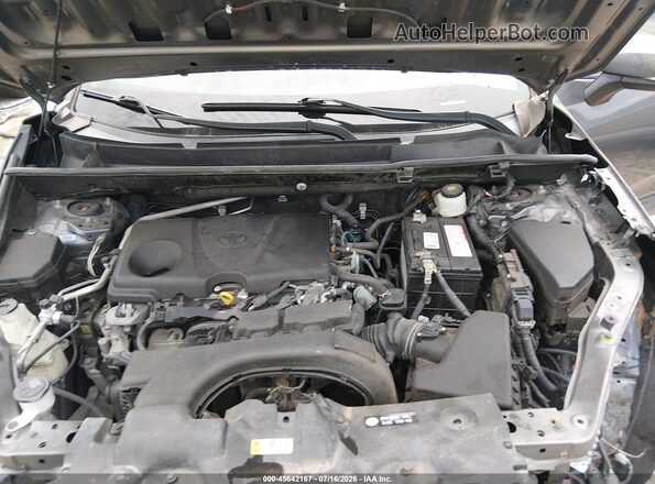 JTMW1RFV0KD032229 2019 TOYOTA RAV4 Gray Widok z tyłu