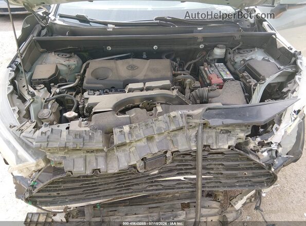 JTMW1RFV2KD030305 2019 TOYOTA RAV4 Green Vista trasera