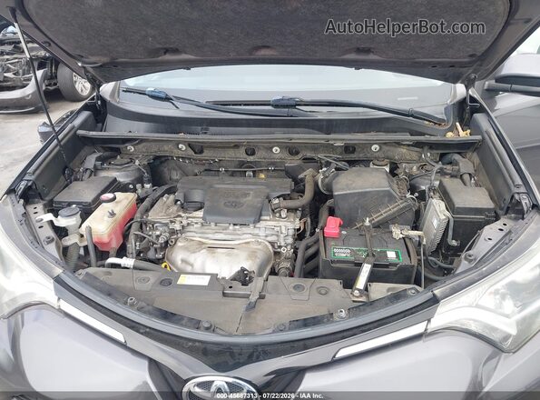 JTMWFREV3GJ094753 2016 TOYOTA RAV4 Gray Widok z tyłu
