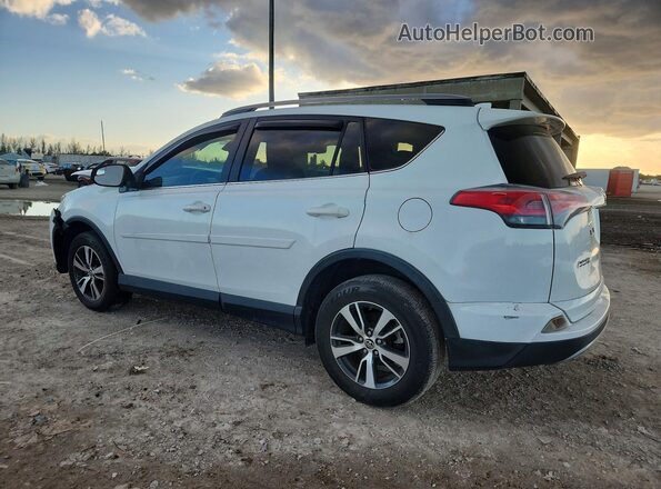 JTMWFREV8HD102362 2017 TOYOTA RAV4 Белый Задняя левая четверть