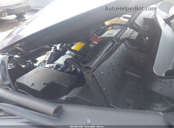 JTMWFREV8HJ706382 2017 TOYOTA RAV4 Gray Вид ззаду