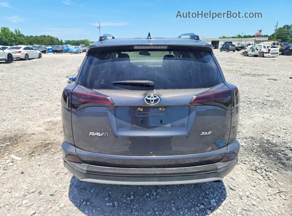 JTMWFREVXHJ113039 2017 TOYOTA RAV4 Серый Вид сзади