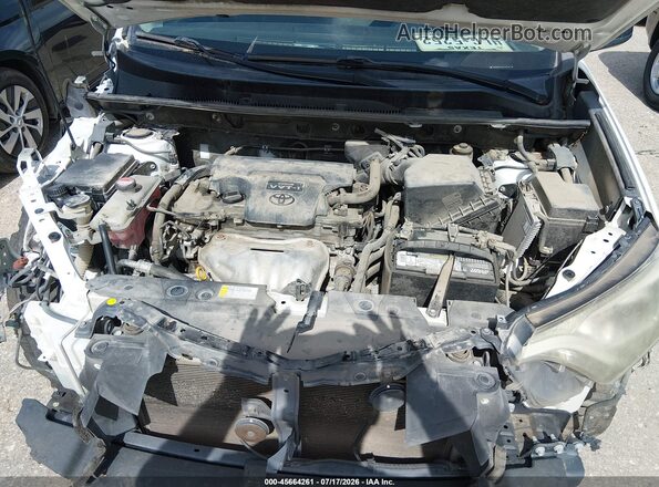 JTMZFREV6GD086495 2016 TOYOTA RAV4 White Հետևի տեսք