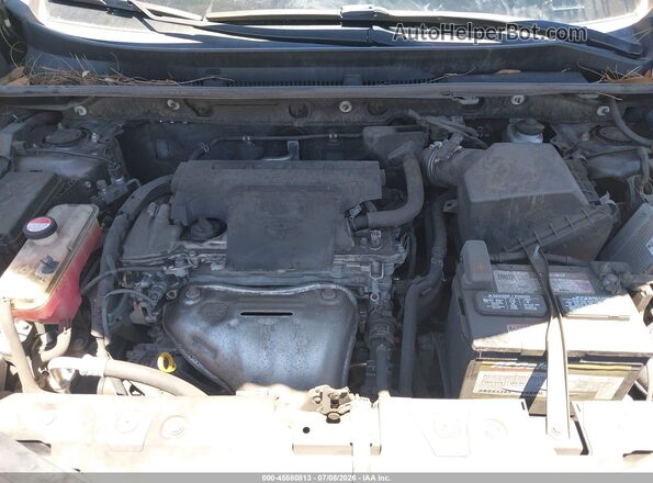 JTMZFREV6GJ095814 2016 TOYOTA RAV4 Gray Вид ззаду