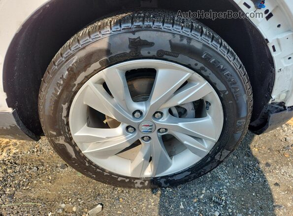 KL4AMBS26RB198338 2024 BUICK ENCORE Белый 