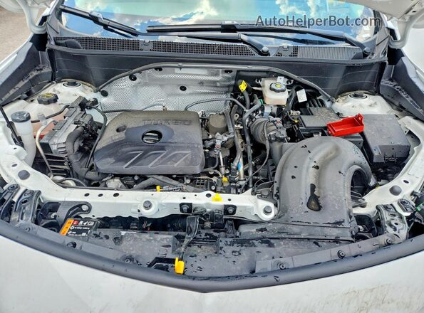 KL4AMCSL9TB090494 2026 BUICK ENCORE Белый Вид задней части салона
