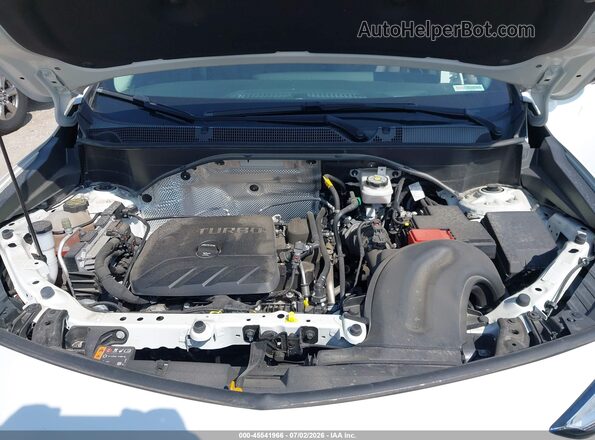 KL4AMESLXRB002993 2024 BUICK ENCORE White Widok z tyłu