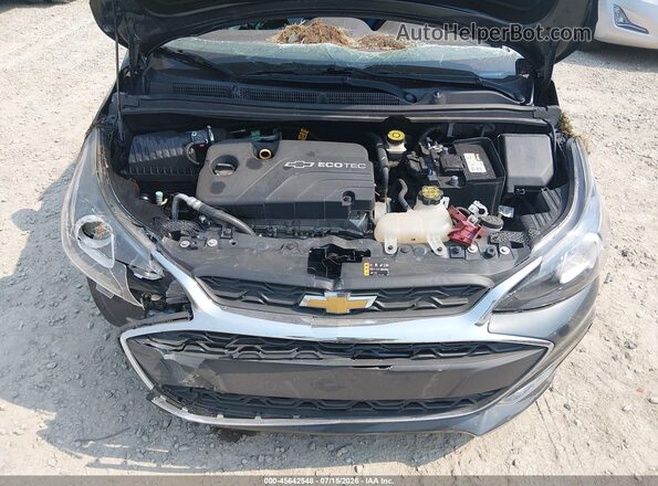 KL8CD6SA7LC466126 2020 CHEVROLET SPARK Gray Widok z tyłu