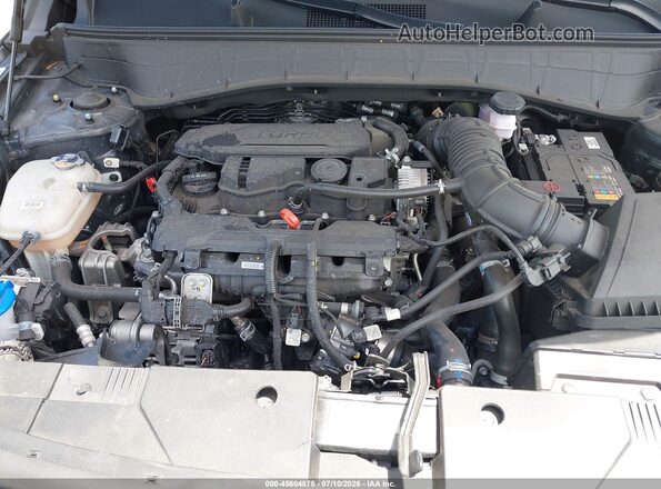 KM8HA3A32RU175166 2024 HYUNDAI KONA Синий Вид сзади