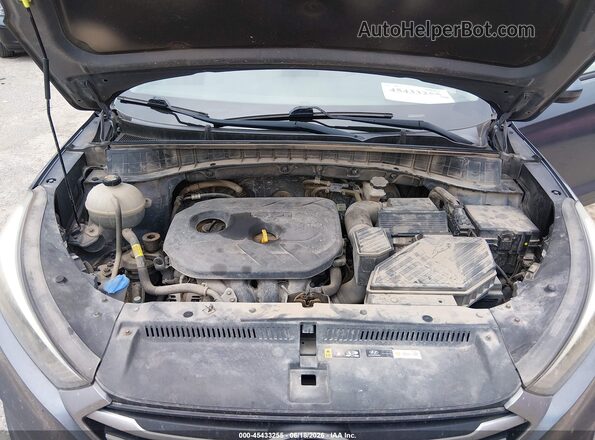 KM8J23A42JU673752 2018 HYUNDAI TUCSON Gray უკანა ხედი