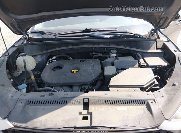 KM8J2CA40LU146733 2020 HYUNDAI TUCSON Gray Widok z tyłu