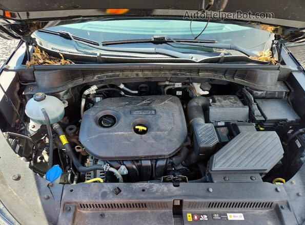 KM8J2CA46LU077787 2020 HYUNDAI TUCSON Черный Вид задней части салона