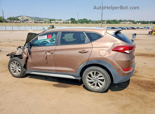 KM8J33A42HU444964 2017 HYUNDAI TUCSON Brown უკანა მარცხენა