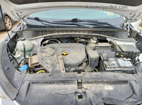 KM8J33A43LU141524 2020 HYUNDAI TUCSON White Սալոնի հետևի տեսք