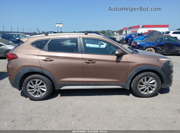 KM8J33A44HU397601 2017 HYUNDAI TUCSON Brown Սալոնի հետևի տեսք