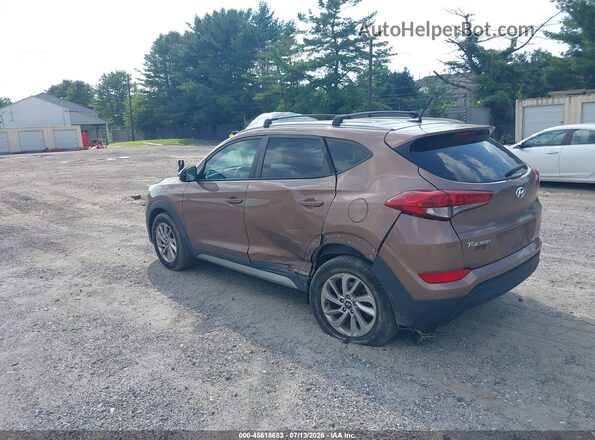 KM8J33A46HU345015 2017 HYUNDAI TUCSON Beige Tył lewy