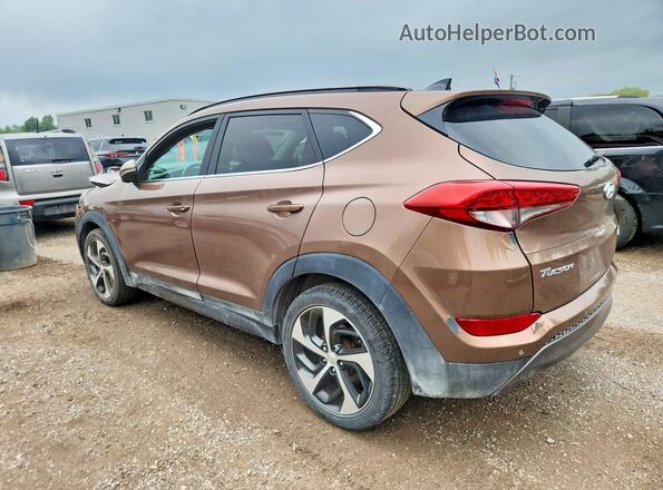 KM8J3CA21GU038459 2016 HYUNDAI TUCSON Brown Trasero izquierdo