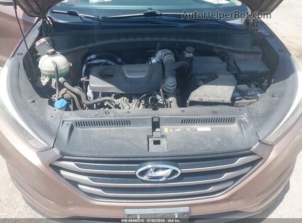 KM8J3CA23GU247427 2016 HYUNDAI TUCSON Коричневый Вид сзади