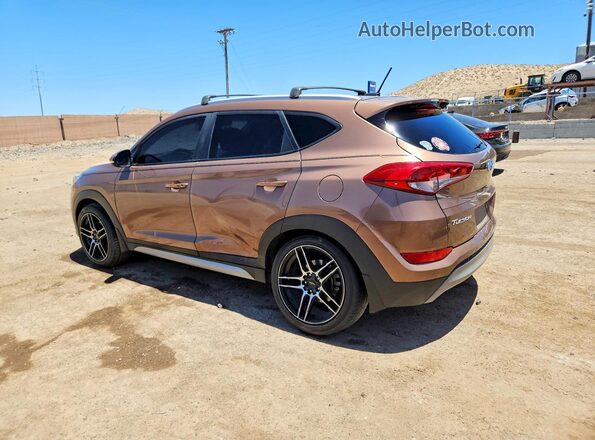 KM8J3CA2XHU314235 2017 HYUNDAI TUCSON Brown უკანა მარცხენა