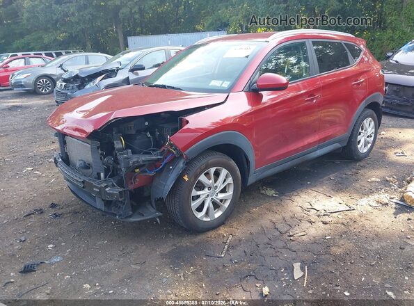 KM8J3CA45MU345467 2021 HYUNDAI TUCSON Темно-бордовый Передняя левая четверть
