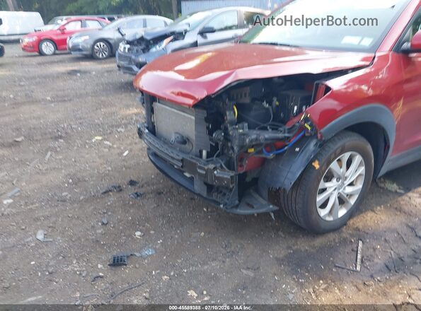 KM8J3CA45MU345467 2021 HYUNDAI TUCSON Темно-бордовый Вид спереди