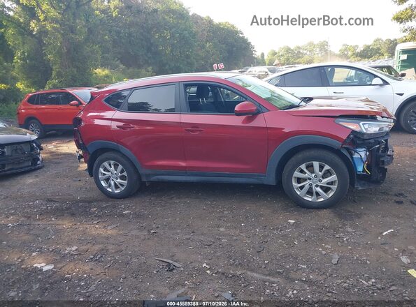 KM8J3CA45MU345467 2021 HYUNDAI TUCSON Темно-бордовый Панорамный вид салона 360°