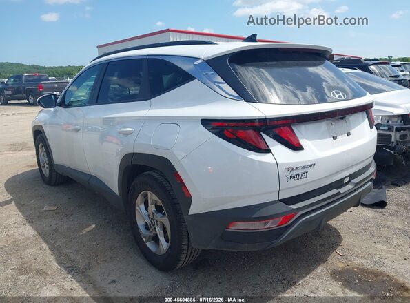 KM8JB3DE5RU335312 2024 HYUNDAI TUCSON White უკანა მარცხენა
