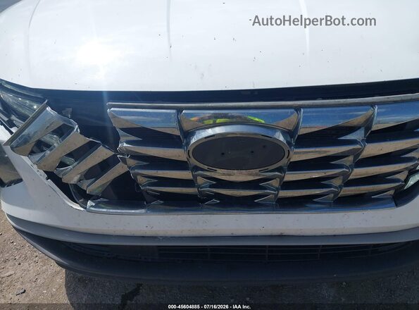 KM8JB3DE5RU335312 2024 HYUNDAI TUCSON White წინა ხედი