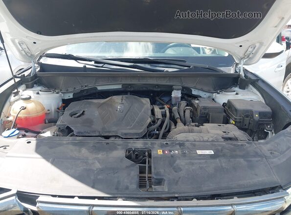 KM8JB3DE5RU335312 2024 HYUNDAI TUCSON White უკანა ხედი