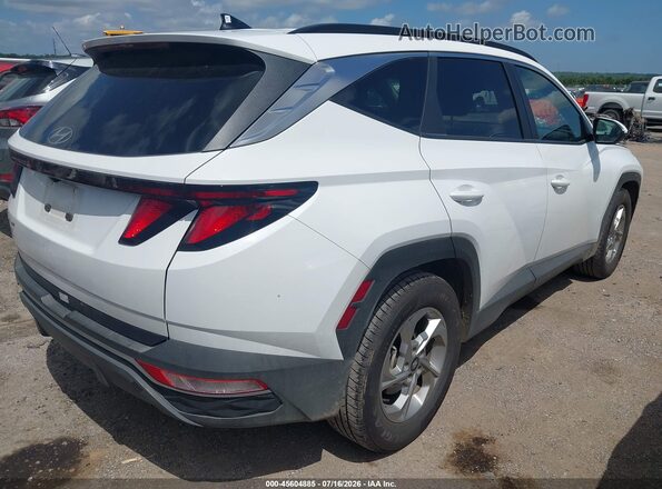KM8JB3DE5RU335312 2024 HYUNDAI TUCSON White უკანა მარჯვენა