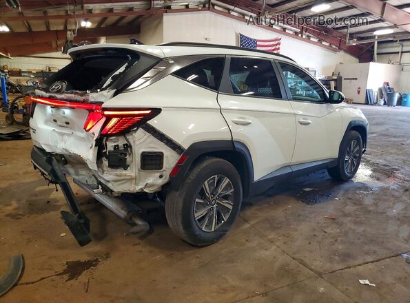 KM8JBCA14PU085446 2023 HYUNDAI TUCSON White Հետևի աջ