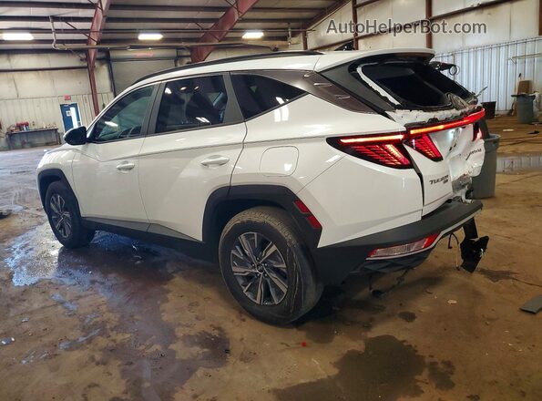 KM8JBCA14PU085446 2023 HYUNDAI TUCSON White Հետևի ձախ